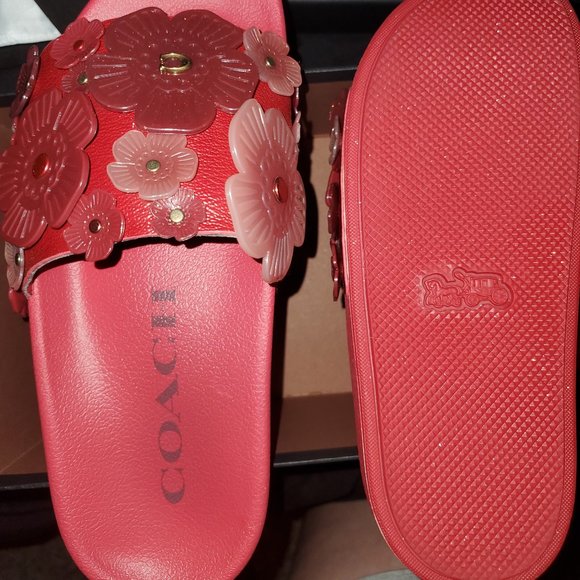 Coach Shoes Brand New Coach Slides Poshmark